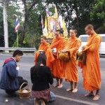 Thai monks receive the day's food